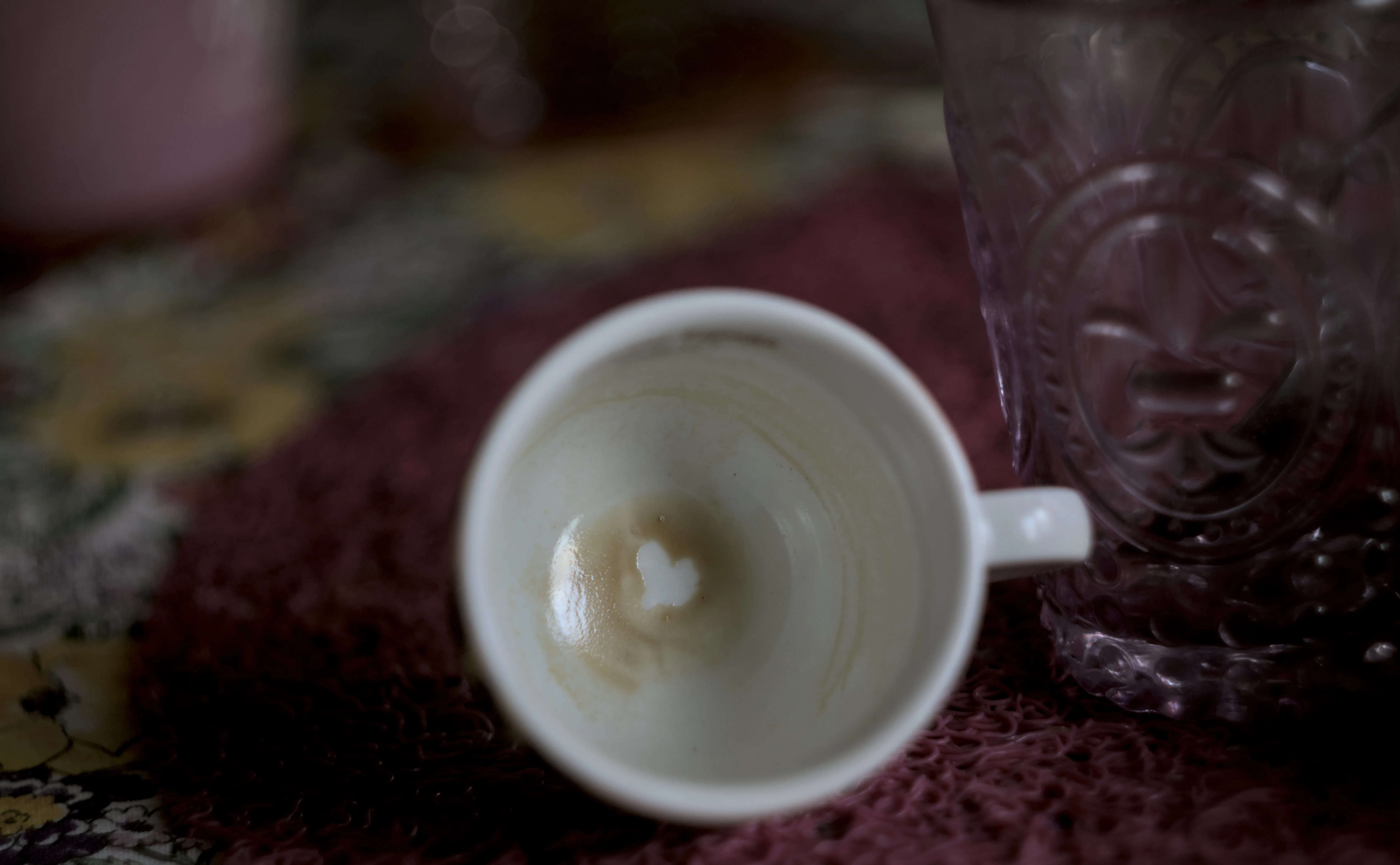 Meyer-Optik Görlitz Primagon 35mm f4.5 (M42) - _I4A9918.webp